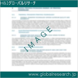 グローバルリサーチ調査レポートのイメージ